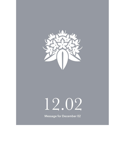 草紙堂　花結びメッセージカード　12月2日