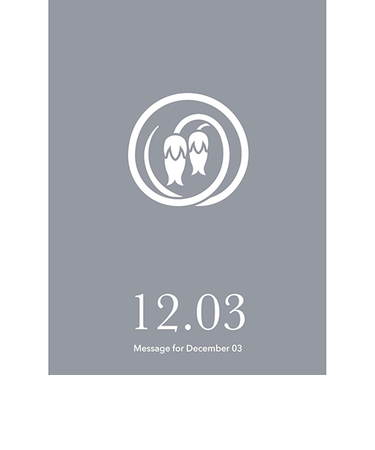 草紙堂　花結びメッセージカード　12月3日