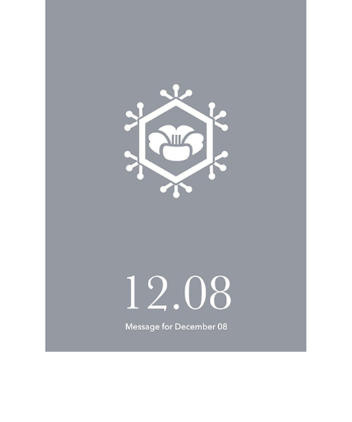 草紙堂　花結びメッセージカード　12月8日