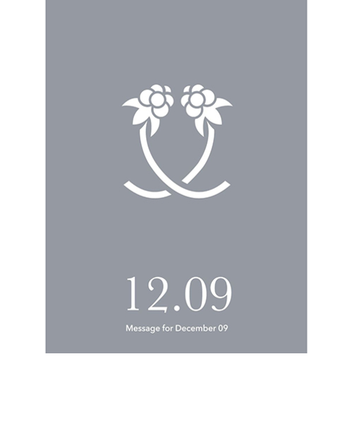 草紙堂　花結びメッセージカード　12月9日