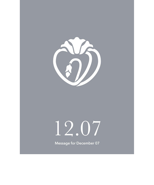 草紙堂　花結びメッセージカード　12月7日