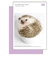 マインドウェイブ　フォトシリーズ　A5綴じノート　11958　ボウルハリネズミ