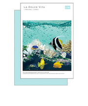 マインドウェイブ　フォトシリーズ　A5綴じノート　11956　アクアフィッシュ