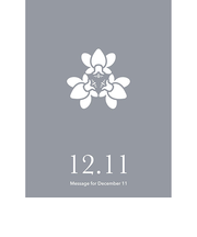 草紙堂　花結びメッセージカード　12月11日