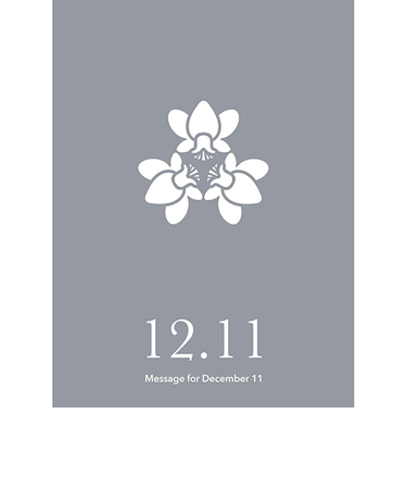 草紙堂　花結びメッセージカード　12月11日