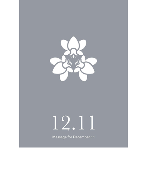 草紙堂　花結びメッセージカード　12月11日