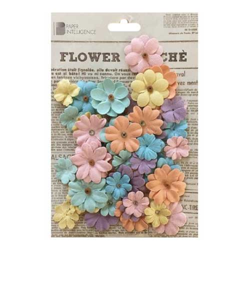 花岡　フラワーマルシェ　ステイシー　CR72902