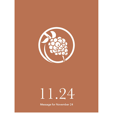 草紙堂　花結びメッセージカード　11月24日