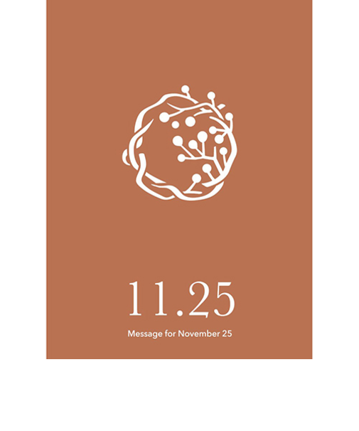 草紙堂　花結びメッセージカード　11月25日