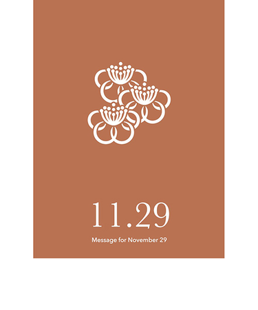 草紙堂　花結びメッセージカード　11月29日