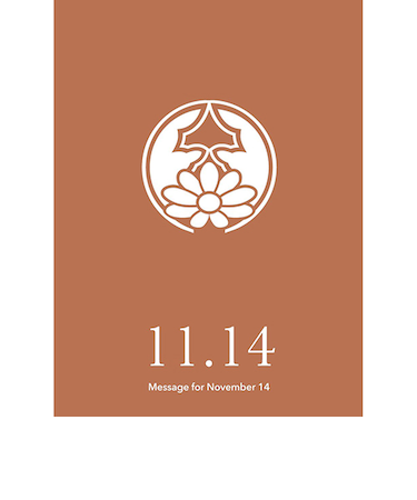 草紙堂　花結びメッセージカード　11月14日