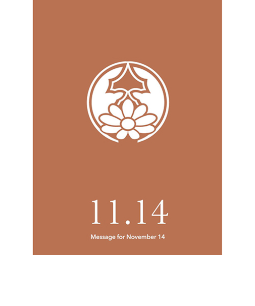 草紙堂　花結びメッセージカード　11月14日