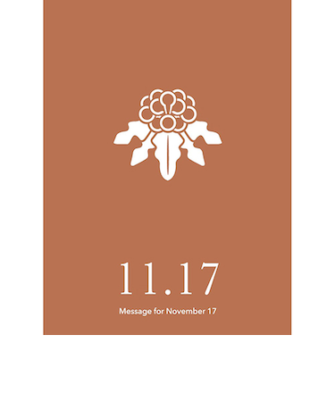 草紙堂　花結びメッセージカード　11月17日
