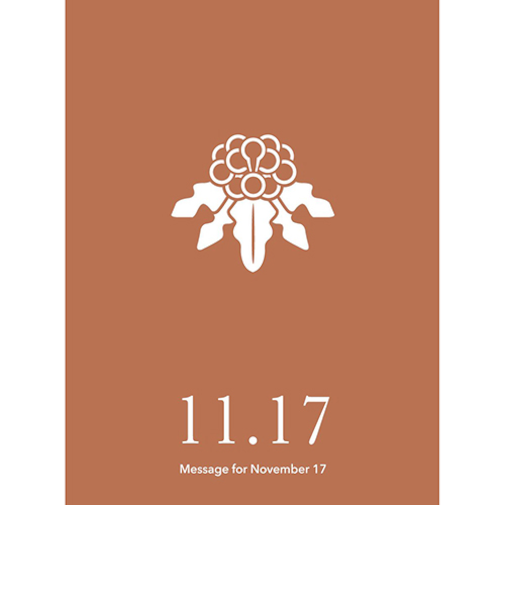 草紙堂　花結びメッセージカード　11月17日