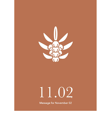 草紙堂　花結びメッセージカード　11月2日