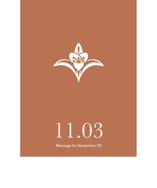 草紙堂　花結びメッセージカード　11月3日