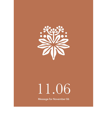 草紙堂　花結びメッセージカード　11月6日