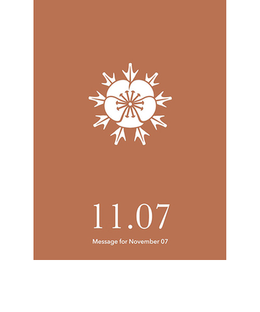 草紙堂　花結びメッセージカード　11月7日