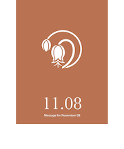 草紙堂　花結びメッセージカード　11月8日