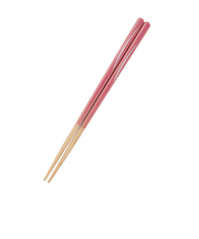 藤栄(FUJIEI) ほんとうにすべらないお箸 スタンダード 月PK 21cm