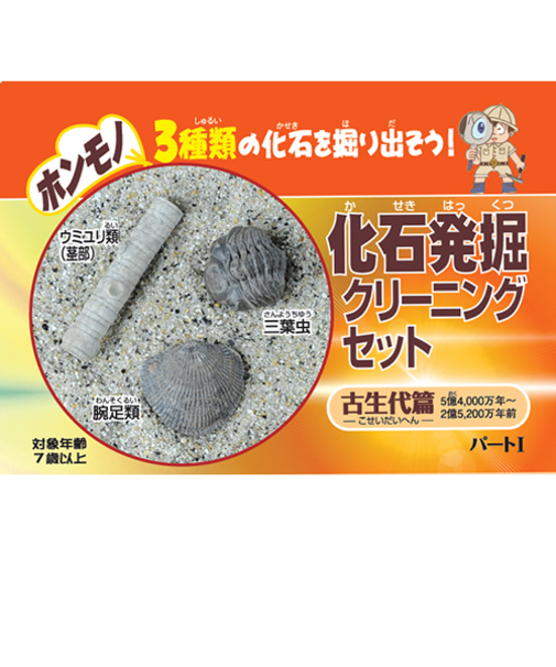 東京サイエンス　化石発掘クリーニングセット　古生代編