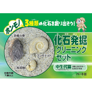 東京サイエンス　化石発掘クリーニングセット　中生代編