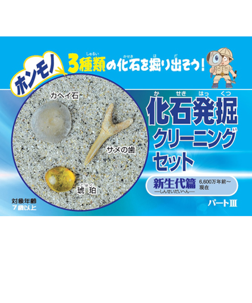 東京サイエンス　化石発掘クリーニングセット　新生代編