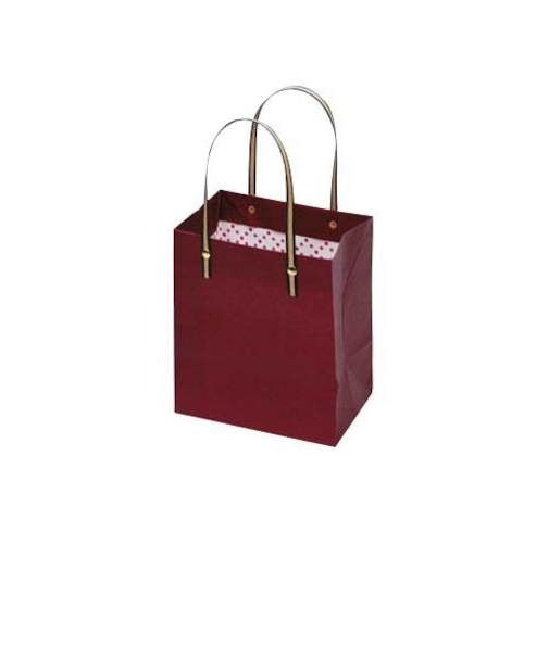 インディゴ　ミニキャリーバッグ　PC158SR