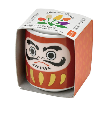 聖新陶芸　お芽でたおちょこ　達磨赤　GD915－1　五色とうがらし