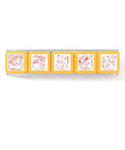 ビバリー　浸透印せんせいスタンプ　SE5－006　ポケットモンスター