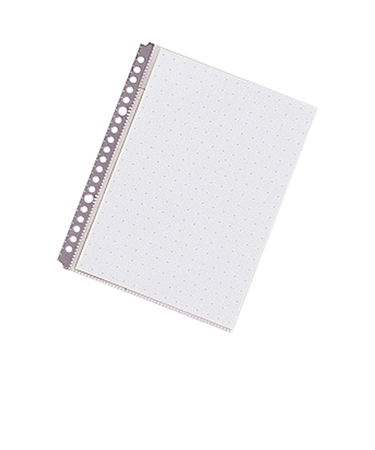 リヒトラブ（LIHIT　LAB.）　ルポ・リーンフォース　クリヤーポケット　A5　N－2010　グレー