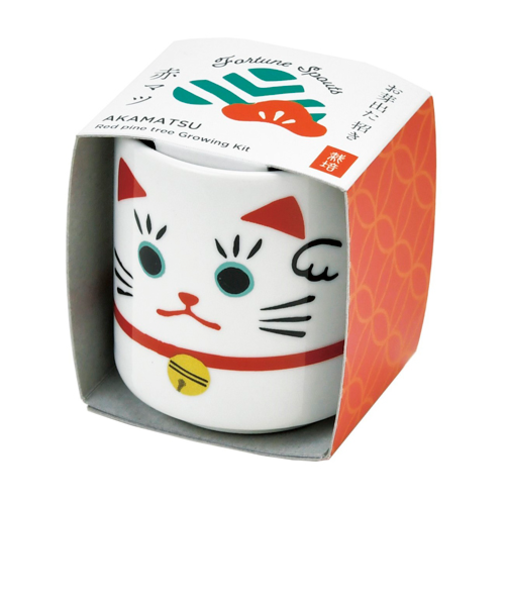 聖新陶芸　お芽でたおちょこ招き白　GD914－1