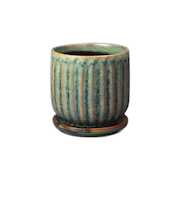 トロンコ（TRONCO）　Kaunis　Streak　Sサイズ　TRKN-002　セージ