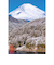 エヌ・ビー・シー　富士山・雪景色の箱根芦ノ湖　富士－033