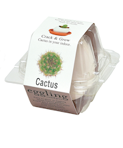 聖新陶芸　エッグリングクリアパッケージカクタス