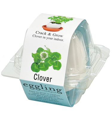 聖新陶芸　エッグリングクリアパッケージクローバー