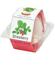 聖新陶芸　エッグリングクリアパッケージワイルドストロベリー