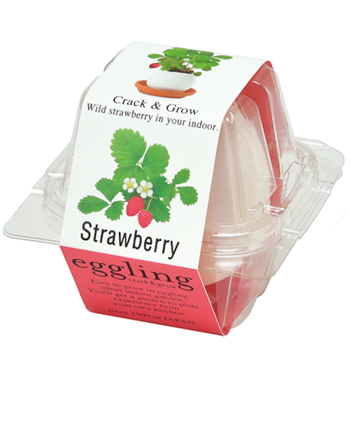 聖新陶芸　エッグリングクリアパッケージワイルドストロベリー