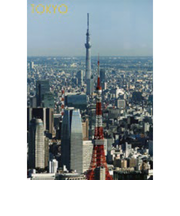 エヌ・ビー・シー　スカイツリーと東京タワー　東京－113