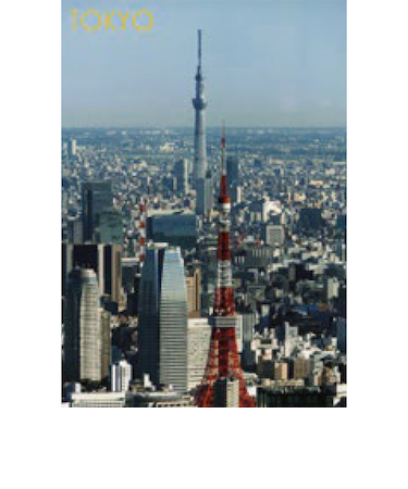 エヌ・ビー・シー　スカイツリーと東京タワー　東京－113