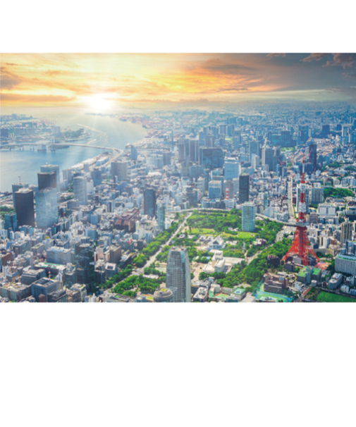 エヌ・ビー・シー　空から見た東京　東京－139