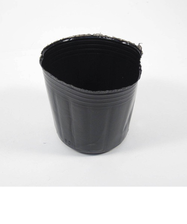 ビニールポット　9cm