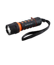 エルパ（ELPA）　LEDハンドライト　60lm　DOP－LR309　単3形1本