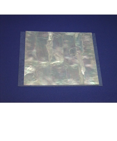 スノーホワイト　大板12×14