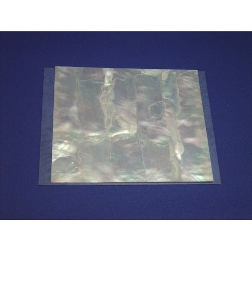 スノーホワイト　大板12×14