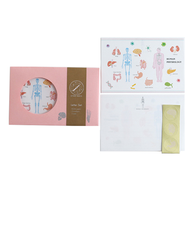 グリーンフラッシュ（GreenFlash）　STUDY　HOLIC　レターセット　ST－262　人類生物学