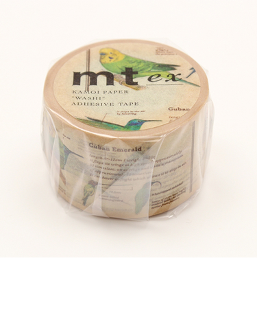 カモ井　mt　ex　MTEX1P90R　図鑑／鳥