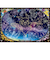 エンスカイ　ポケットモンスター　星空を見上げれば　1000T-93　1000ピース