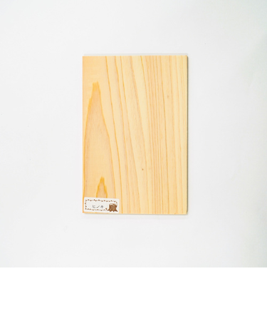 常木　木のはがき　ヒノキ