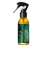 アロマスター（AROMASTAR）　アロマスプレー　ペパーミント＆ユーカリ　100mL
